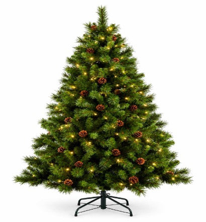 The Winslow Spruce Tree - 6ft