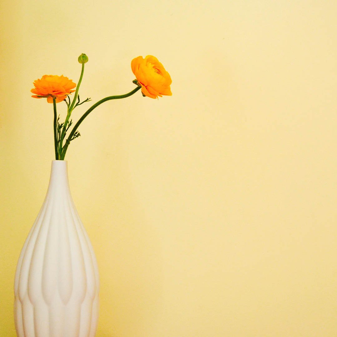 Textured Porcelain Vase Set