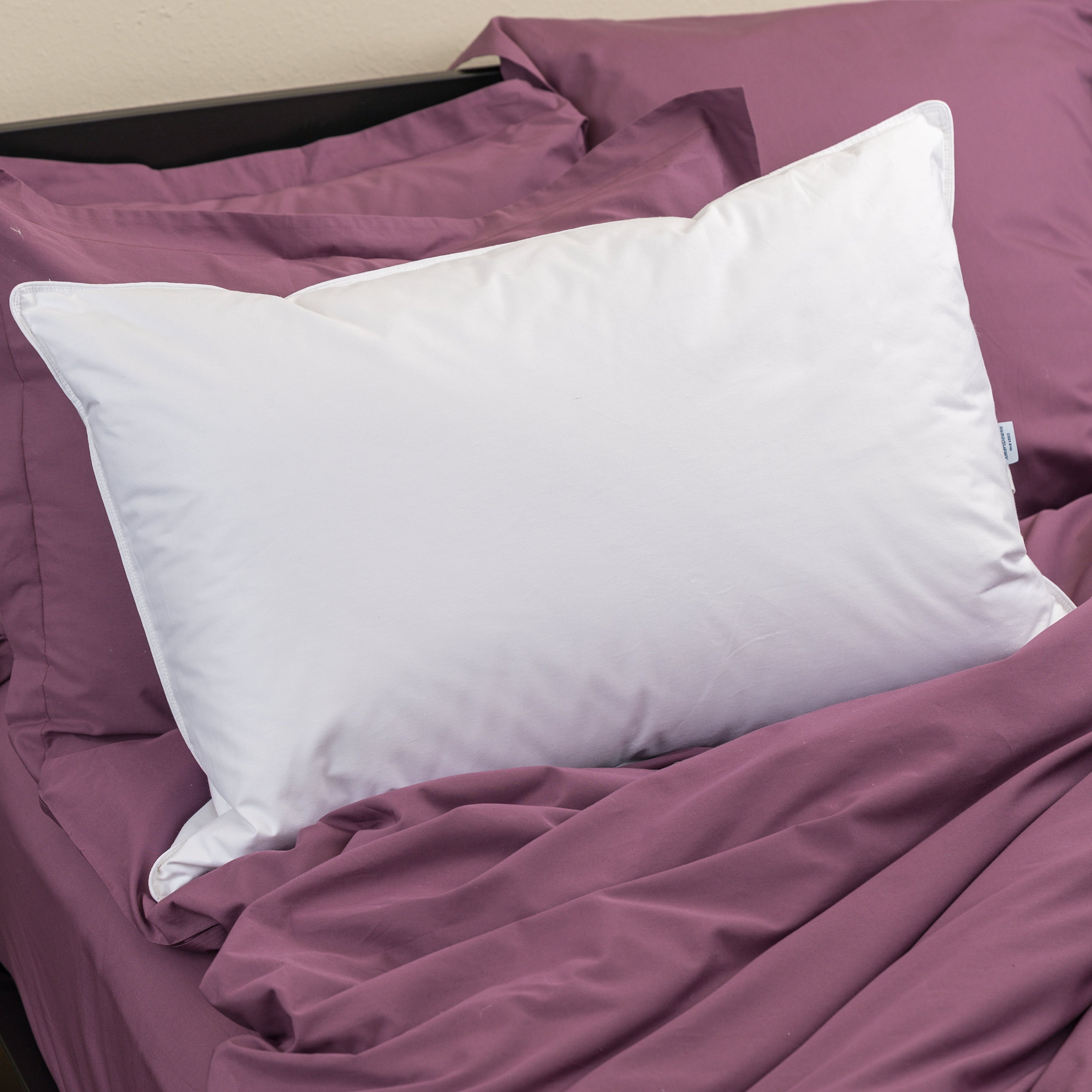 Premier Down & Feather Blend Pillow