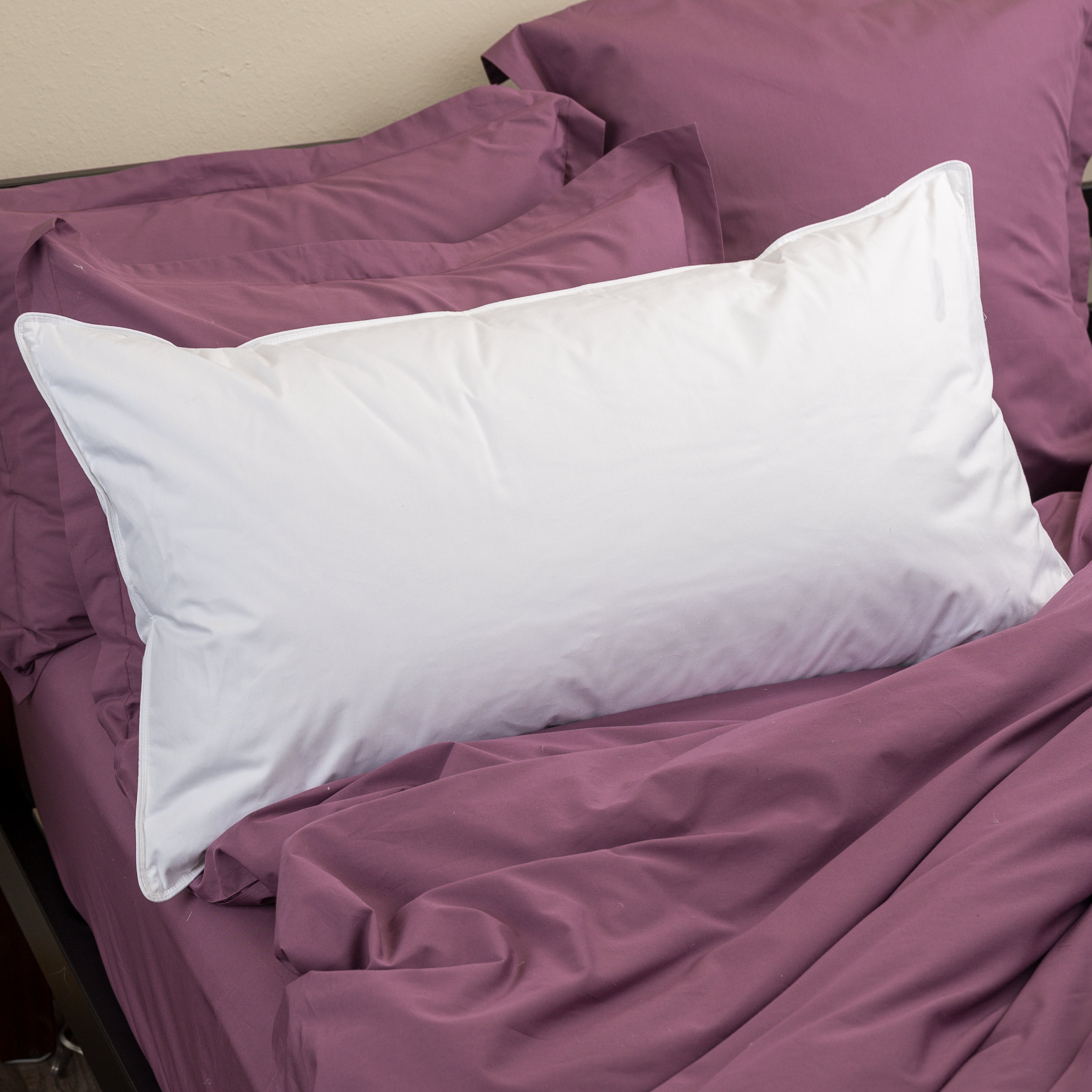 Premier Down & Feather Blend Pillow