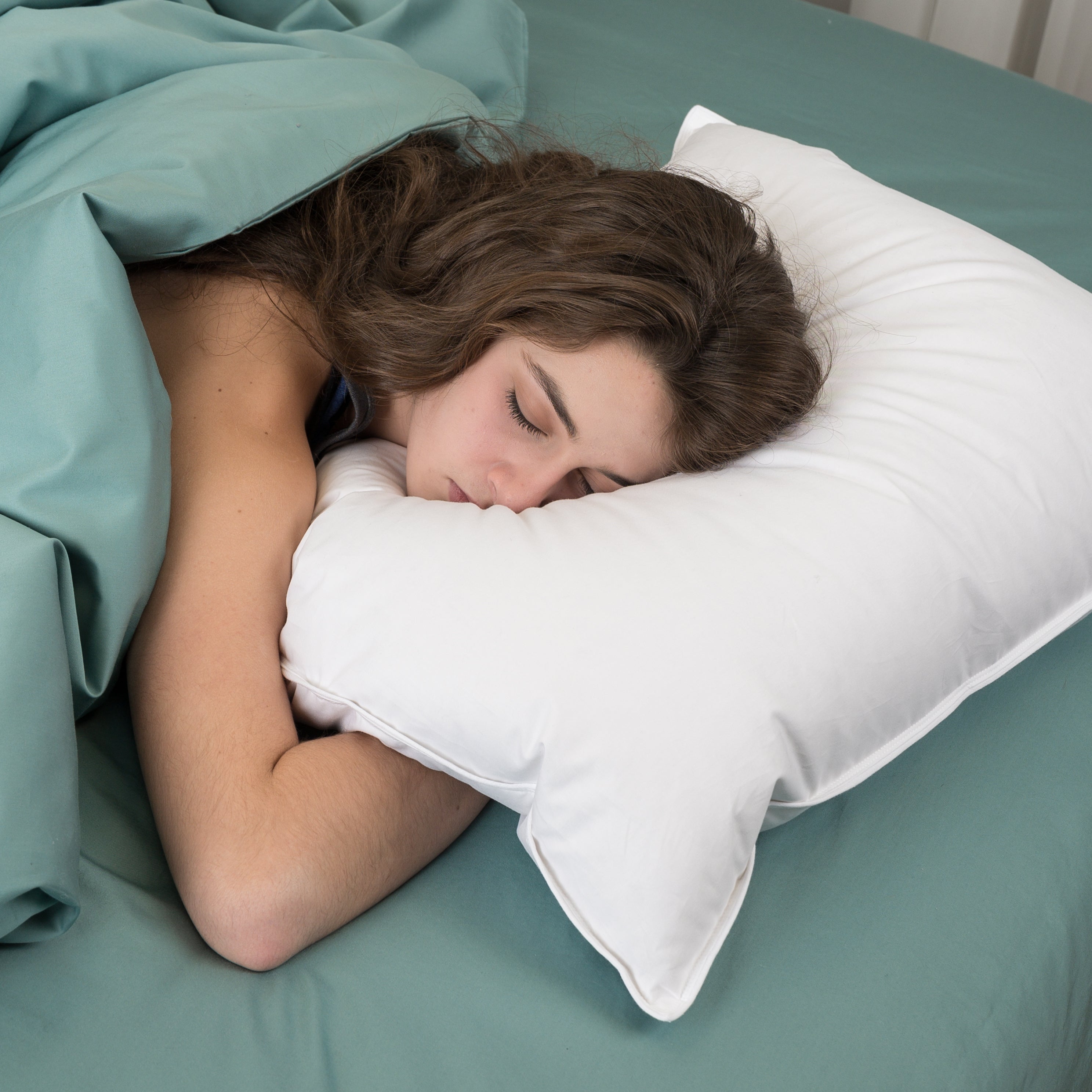 Premier Down & Feather Blend Pillow